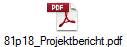 81p18_Projektbericht.pdf