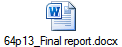 64p13_Final report.docx