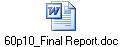 60p10_Final Report.doc