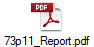 73p11_Report.pdf