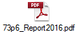 73p6_Report2016.pdf