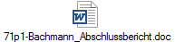 71p1-Bachmann_Abschlussbericht.doc