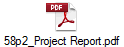 58p2_Project Report.pdf