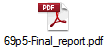 69p5-Final_report.pdf