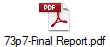 73p7-Final Report.pdf