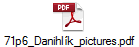 71p6_Danihlík_pictures.pdf
